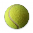 Тенисный мячик
